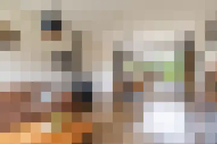Finne 48 Britsum thumbnail 18