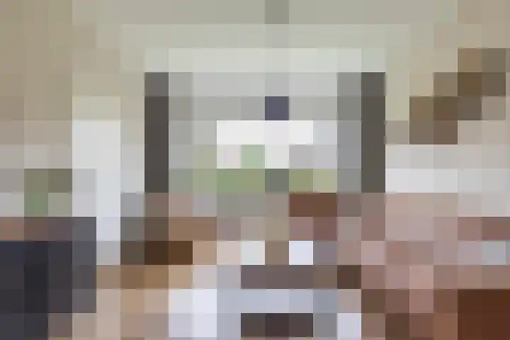 Finne 48 Britsum thumbnail 20