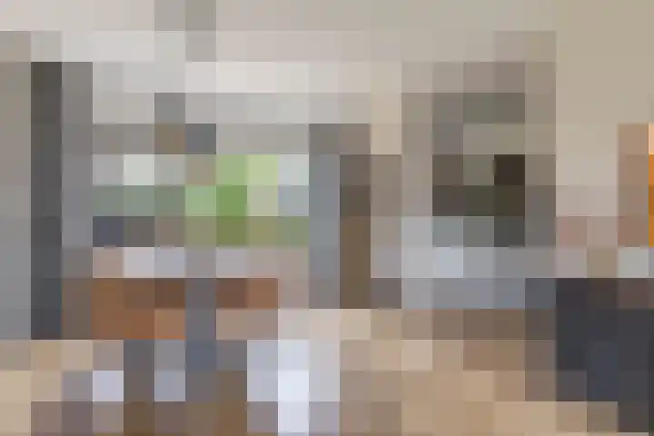 Finne 48 Britsum thumbnail 22