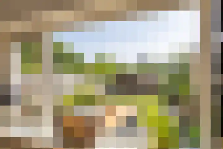 Finne 48 Britsum thumbnail 24