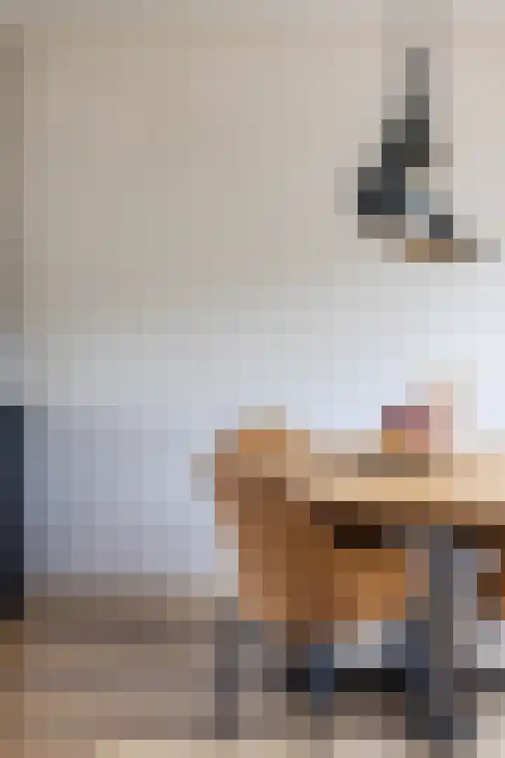 Finne 48 Britsum thumbnail 25