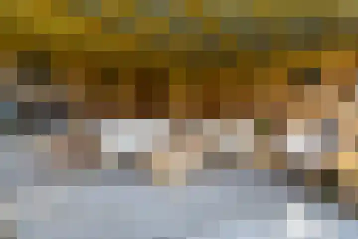 Finne 48 Britsum thumbnail 40