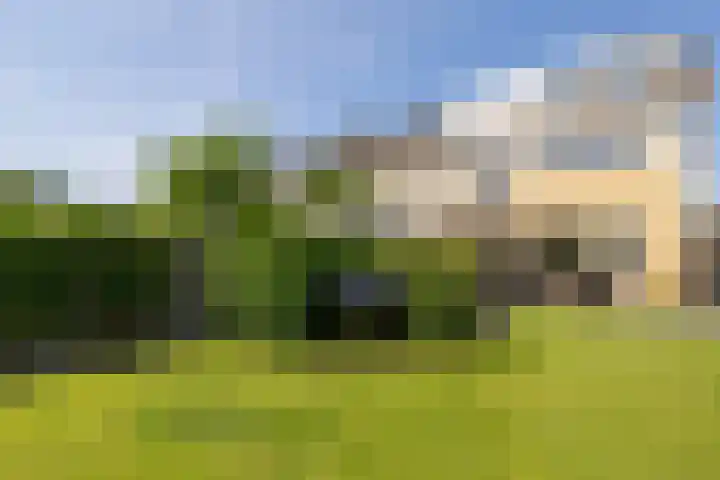Finne 48 Britsum thumbnail 43