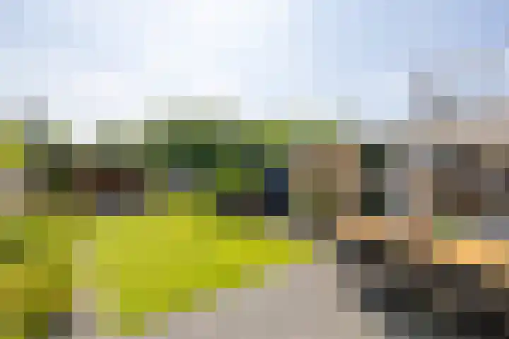 Finne 48 Britsum thumbnail 45