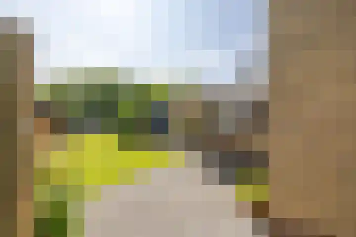 Finne 48 Britsum thumbnail 46