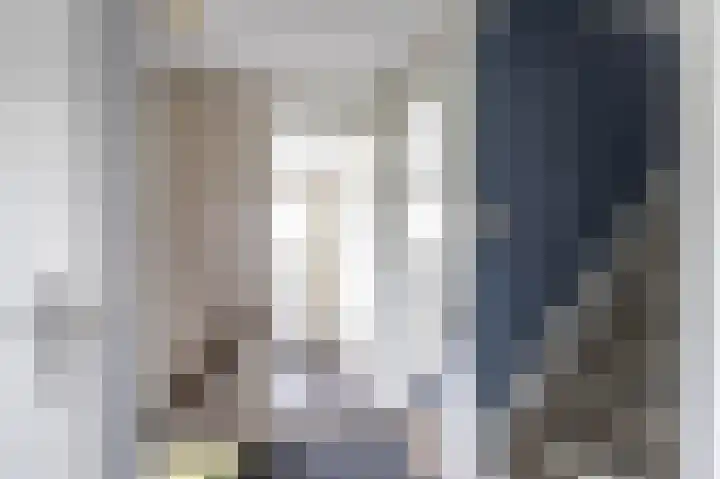 Finne 48 Britsum thumbnail 48