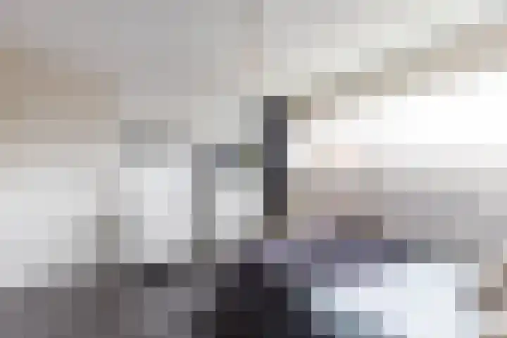Finne 48 Britsum thumbnail 50