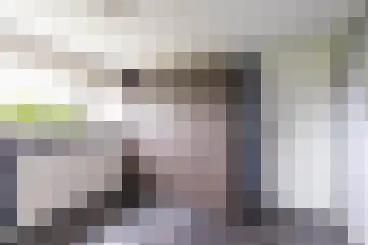 Finne 48 Britsum thumbnail 53