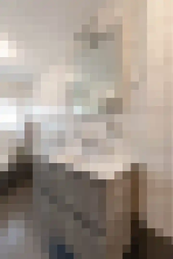 Finne 48 Britsum thumbnail 55