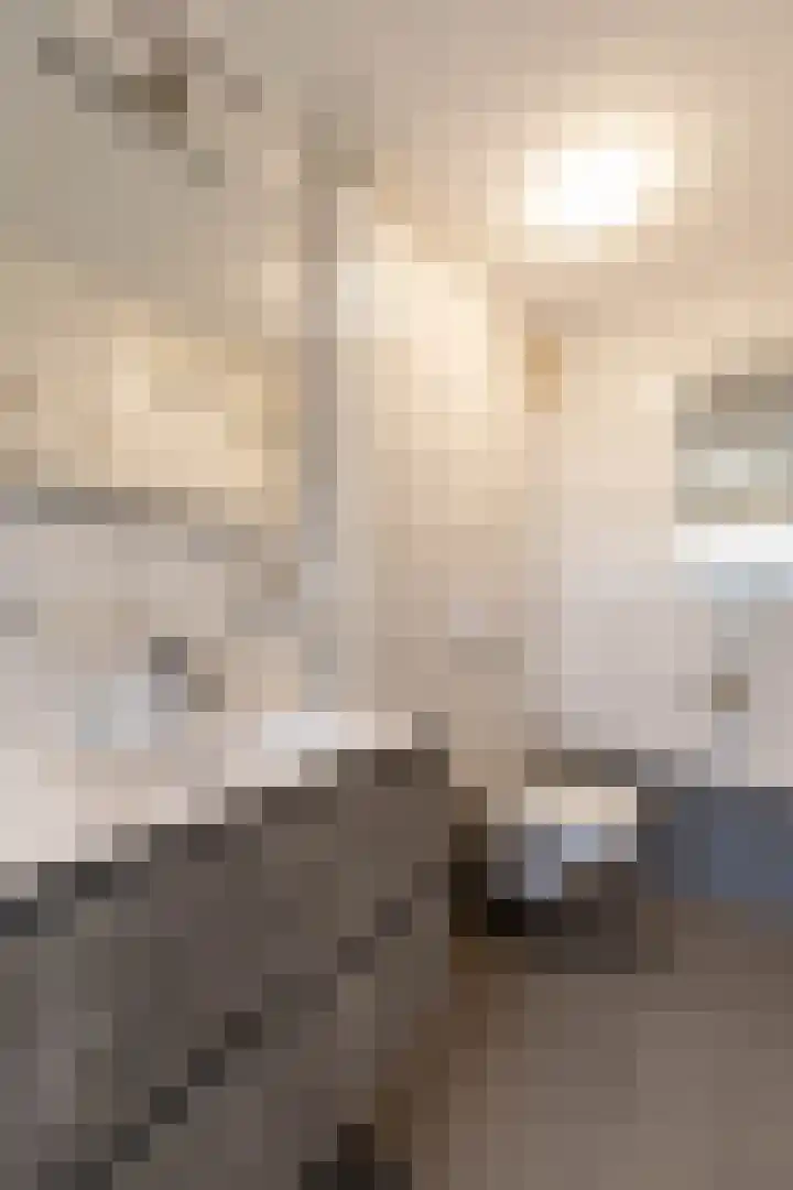 Finne 48 Britsum thumbnail 58