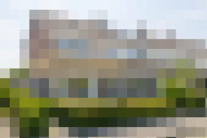 Finne 48 Britsum thumbnail 6