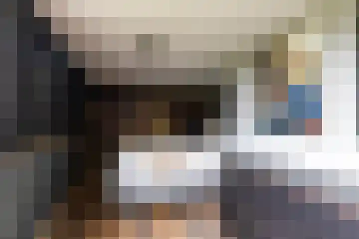 Finne 48 Britsum thumbnail 62
