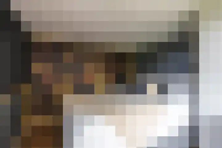 Finne 48 Britsum thumbnail 63
