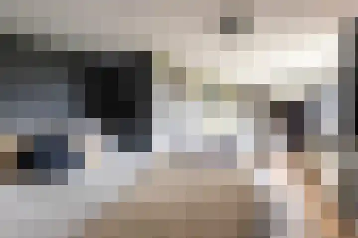 Finne 48 Britsum thumbnail 64
