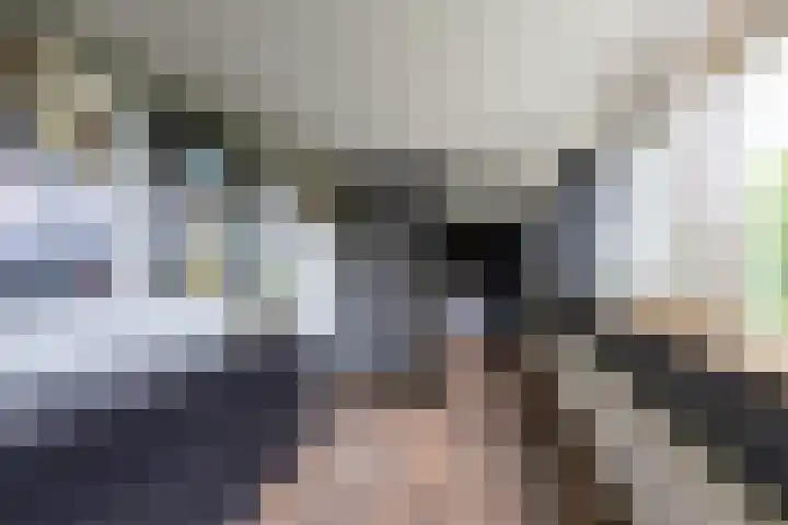 Finne 48 Britsum thumbnail 65