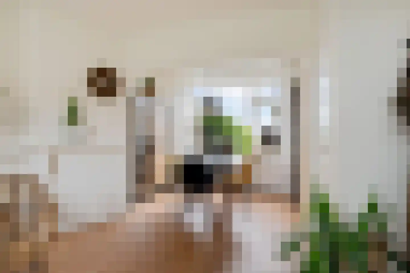 Finne 5 Hallum thumbnail 10