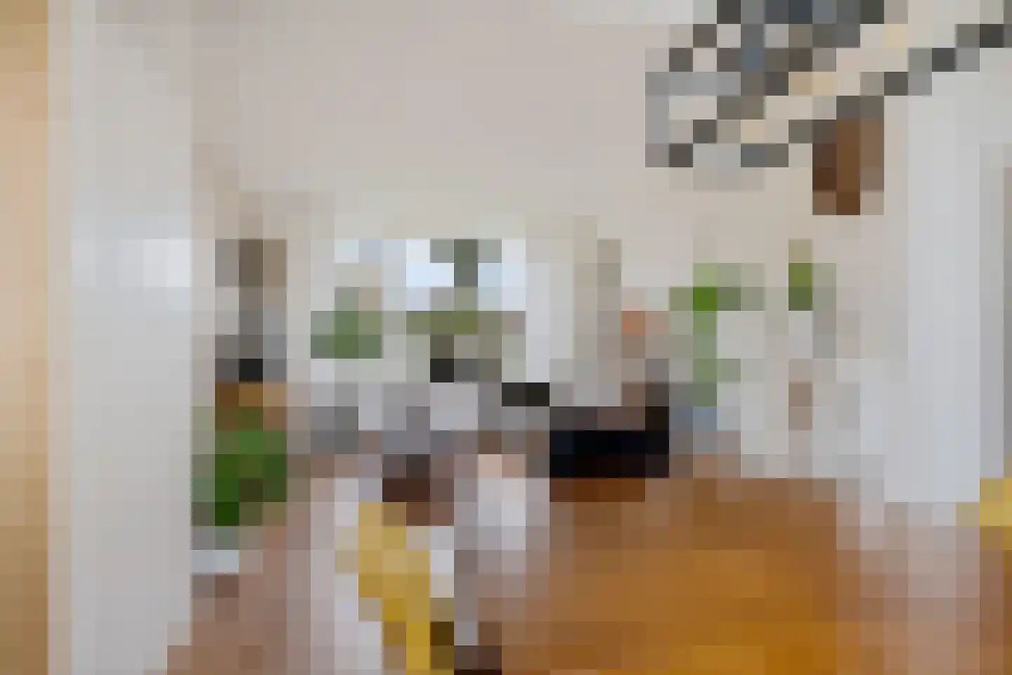 Finne 5 Hallum thumbnail 12
