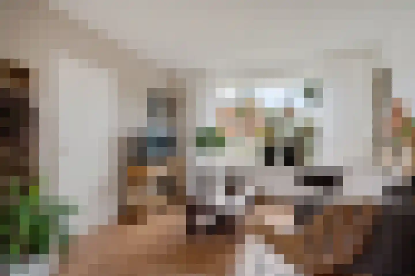 Finne 5 Hallum thumbnail 15