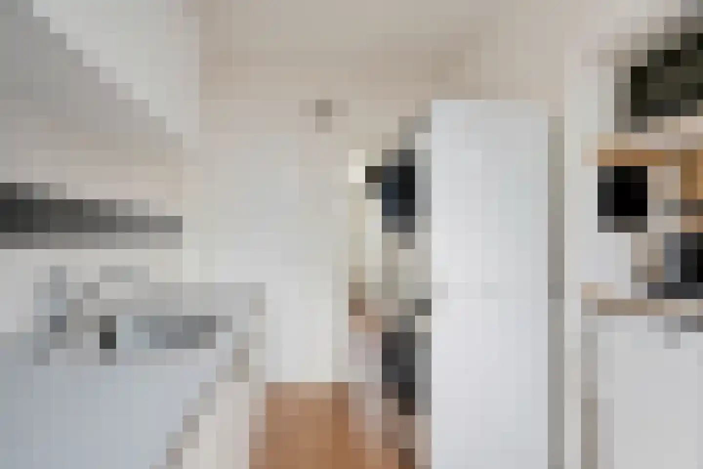 Finne 5 Hallum thumbnail 18