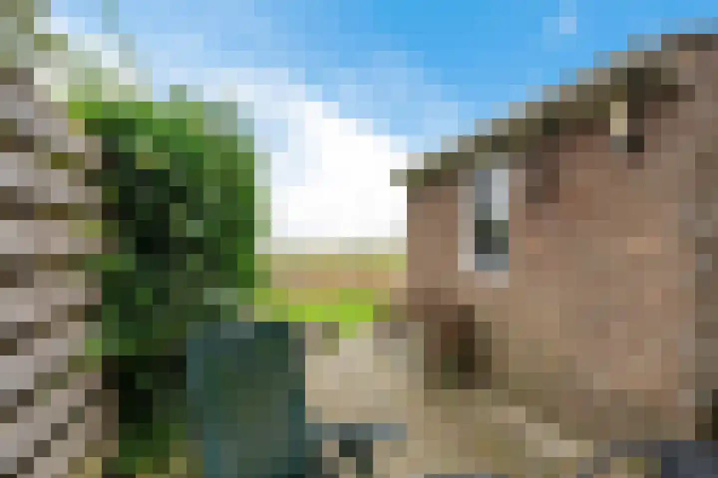 Finne 5 Hallum thumbnail 27