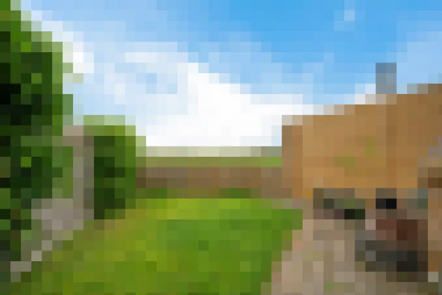 Finne 5 Hallum thumbnail 29