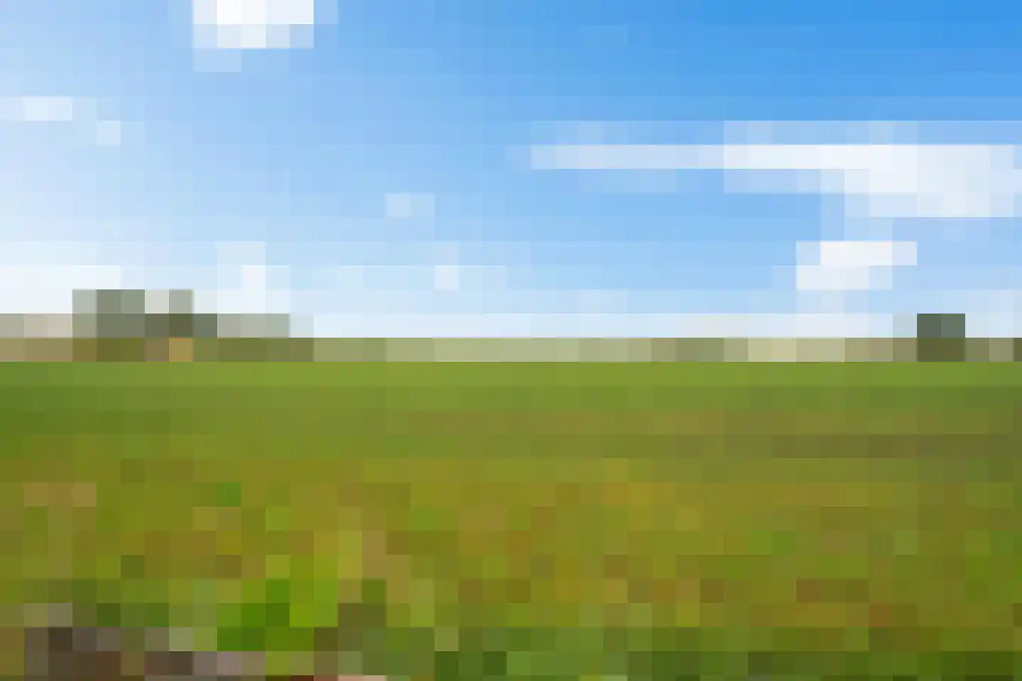 Finne 5 Hallum thumbnail 30