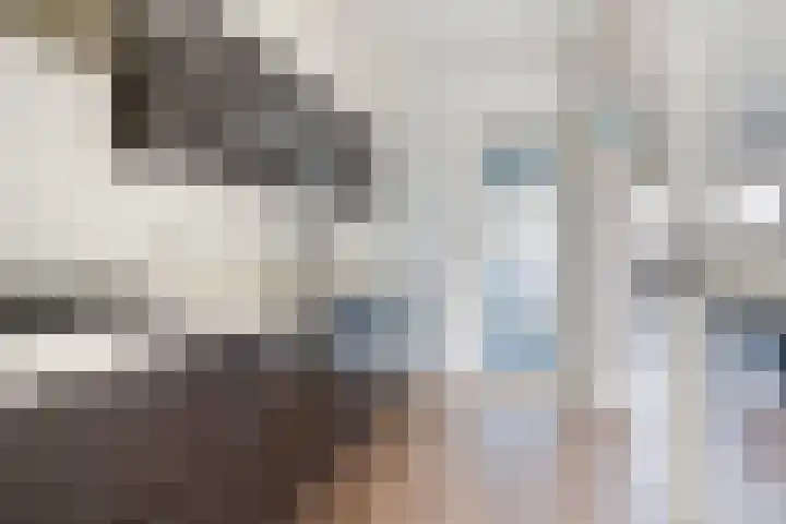 Finne 51 Hallum thumbnail 12