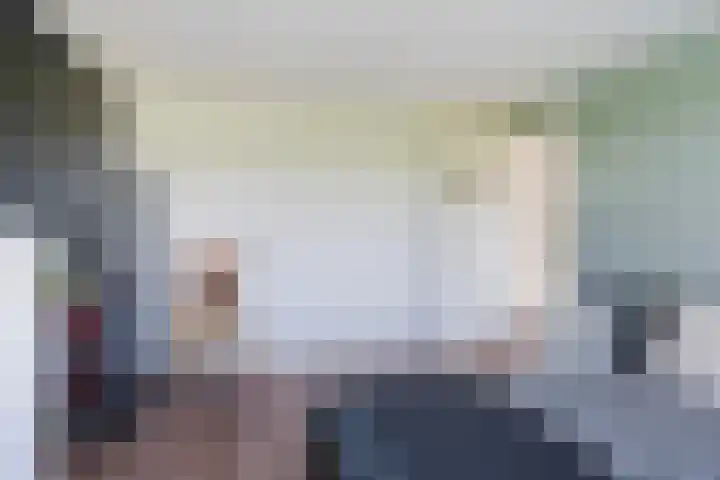 Finne 51 Hallum thumbnail 18