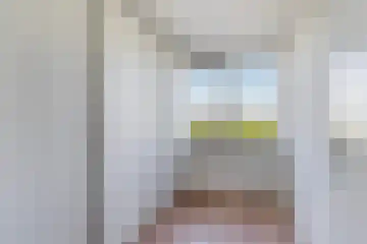 Finne 51 Hallum thumbnail 21