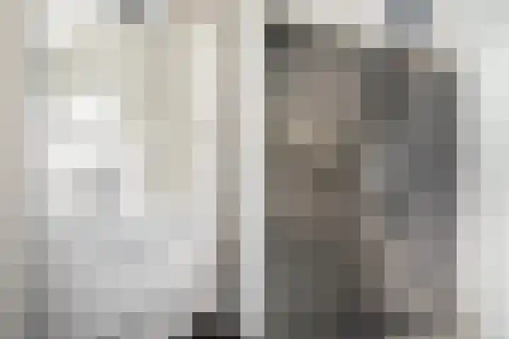 Finne 51 Hallum thumbnail 23