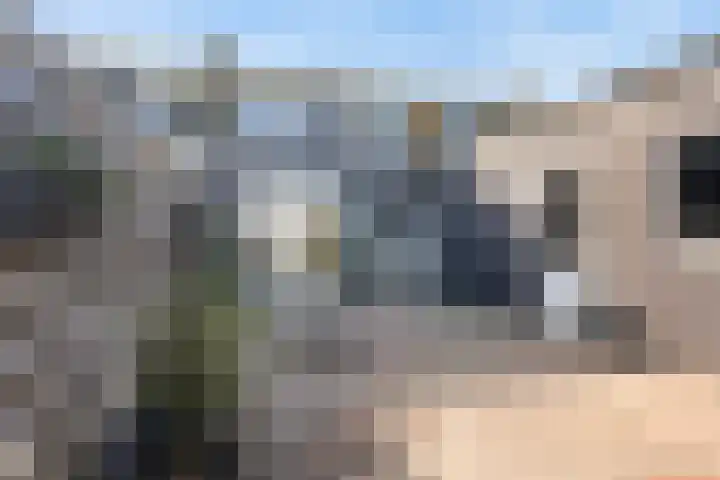 Finne 51 Hallum thumbnail 24