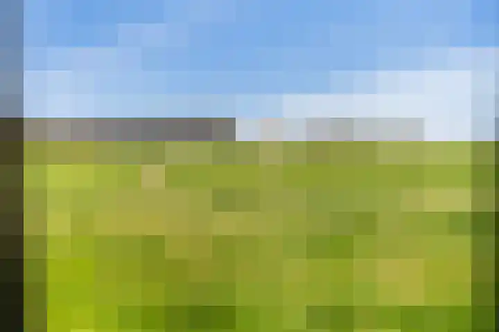 Finne 51 Hallum thumbnail 29