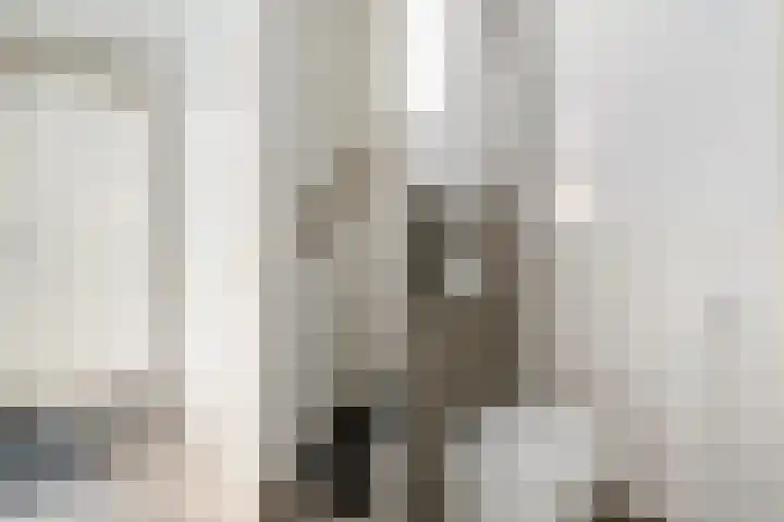 Finne 51 Hallum thumbnail 7