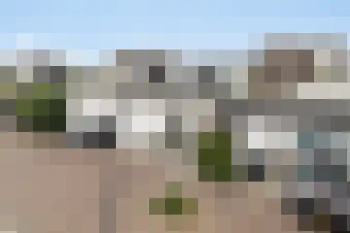 Finne 77 Hallum thumbnail 11