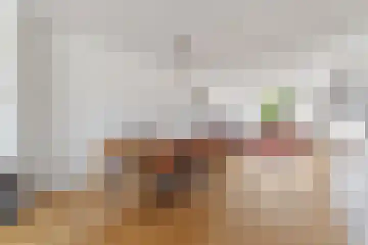 Finne 77 Hallum thumbnail 21