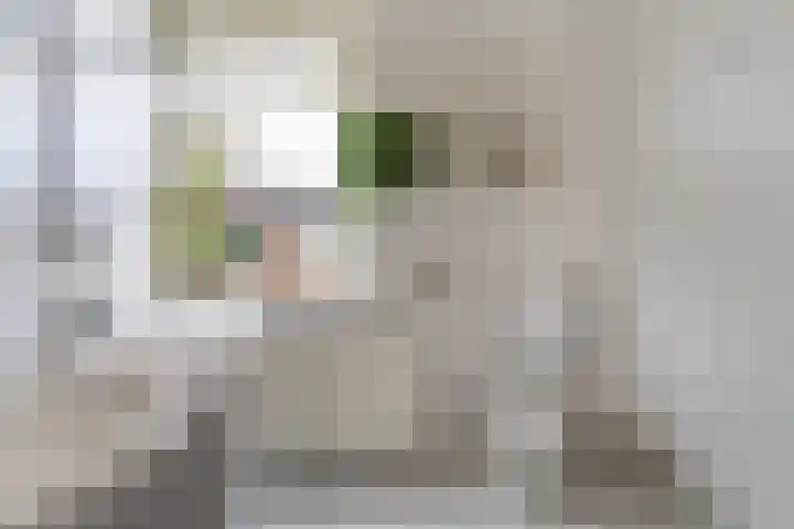 Finne 77 Hallum thumbnail 22