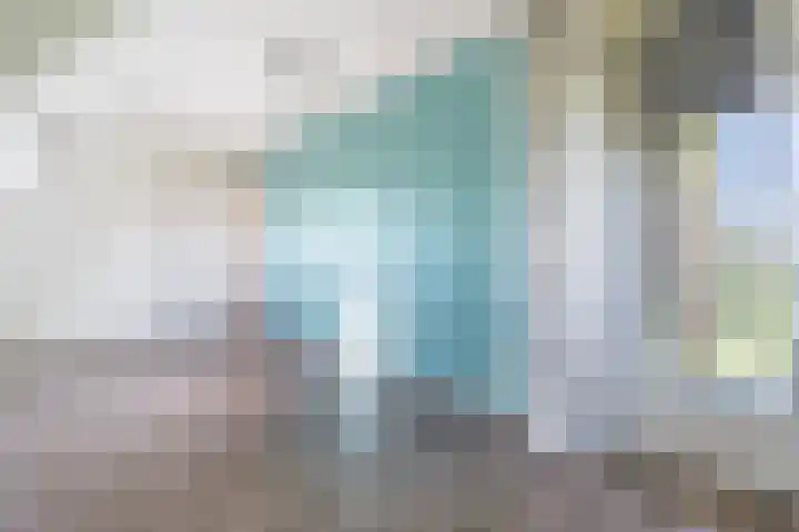 Finne 77 Hallum thumbnail 6