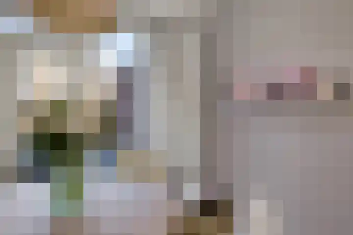 Finnekamp 17 Bakkeveen thumbnail 11