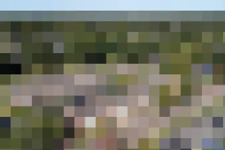 Finnekamp 17 Bakkeveen thumbnail 41