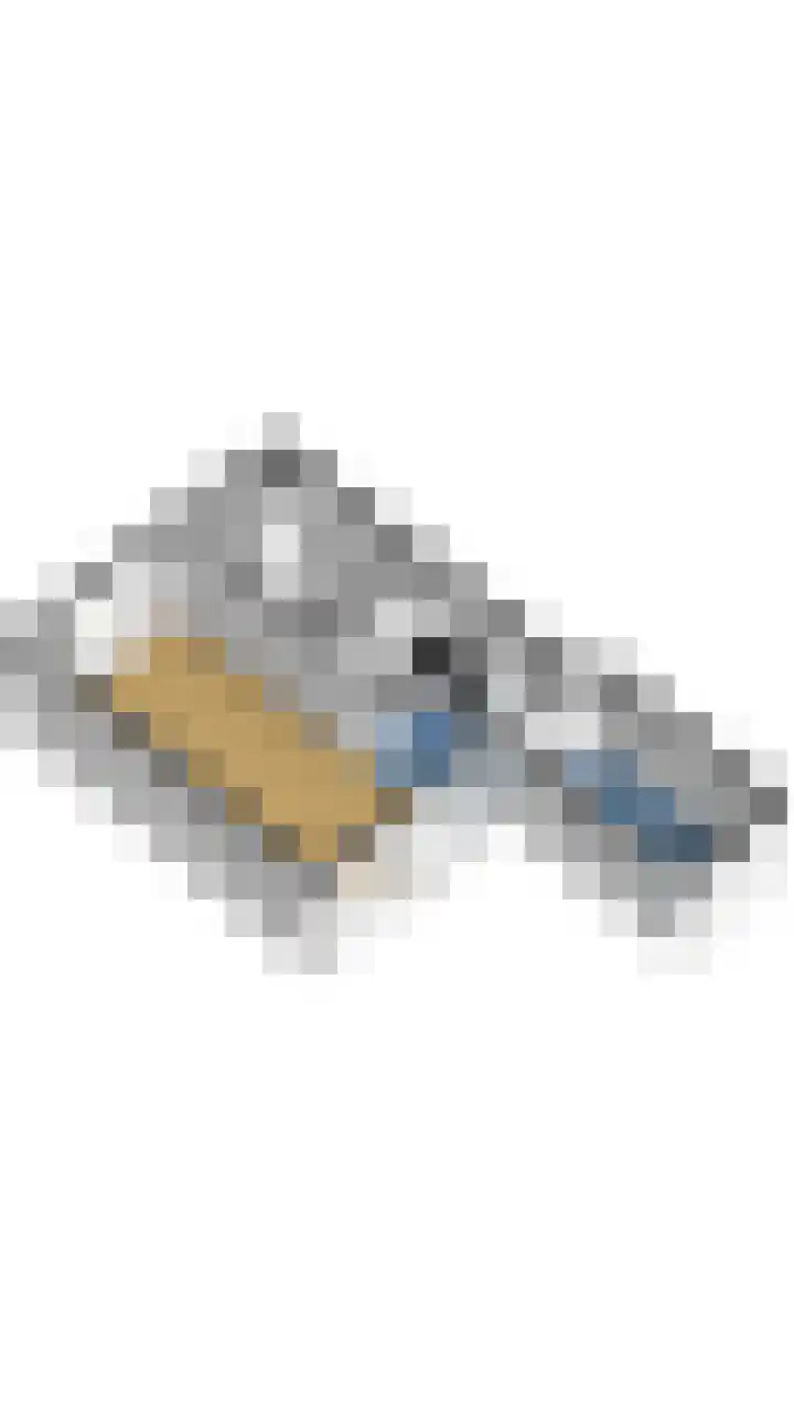 Finnekamp 17 Bakkeveen thumbnail 5