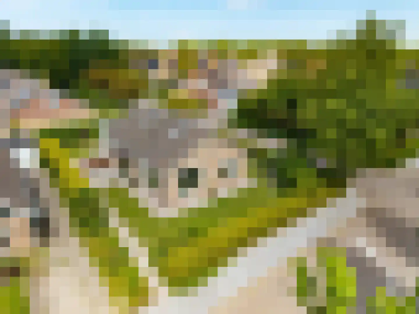 Finnepaed 6 in Hijum