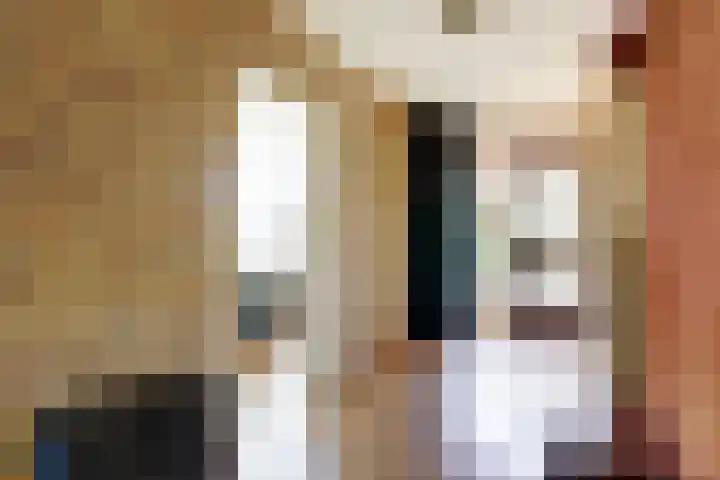Finnepaed 6 Hijum thumbnail 21