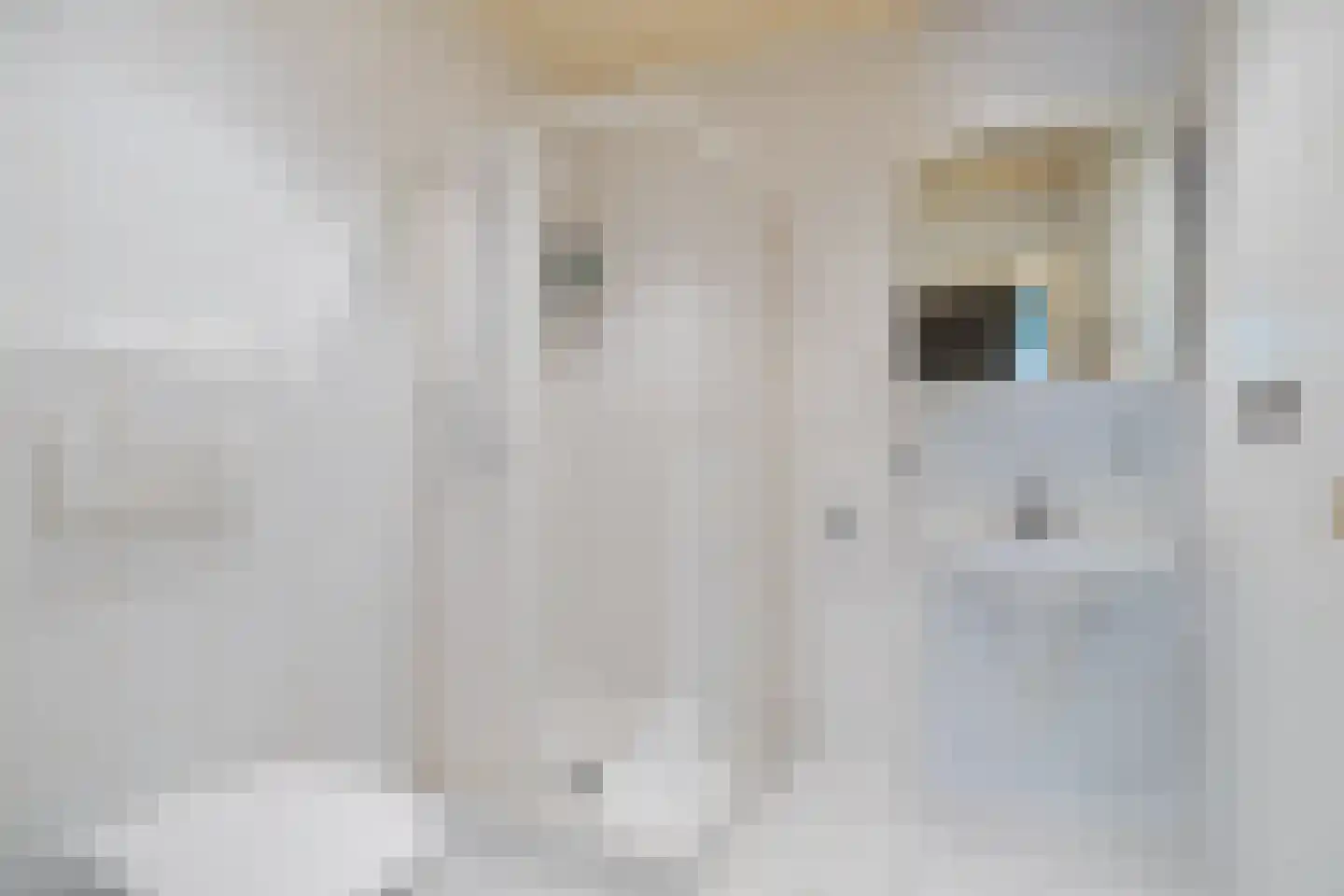 Finnepaed 6 Hijum thumbnail 29