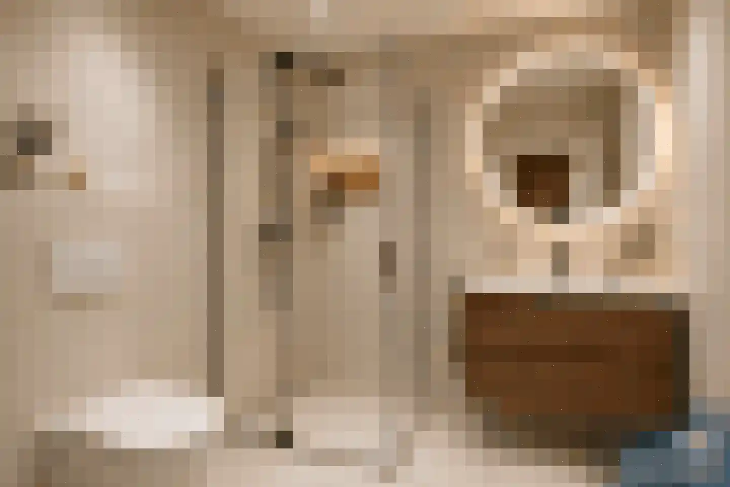 Finnepaed 6 Hijum thumbnail 30
