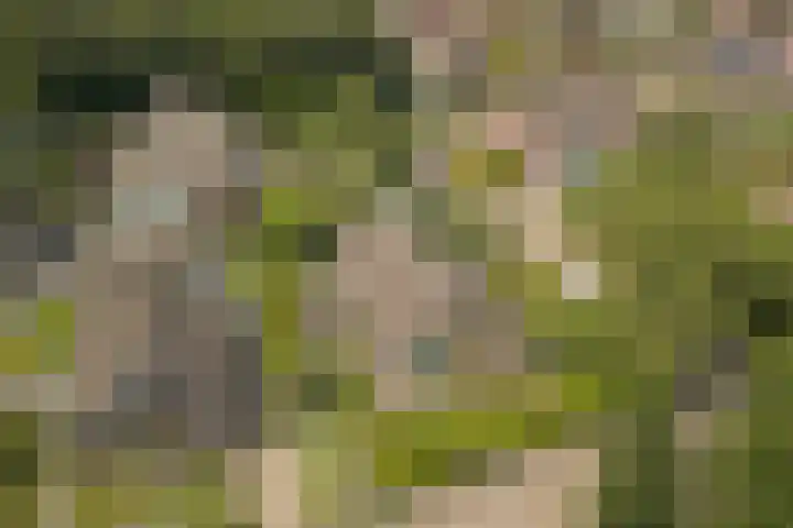 Finnepaed 6 Hijum thumbnail 38