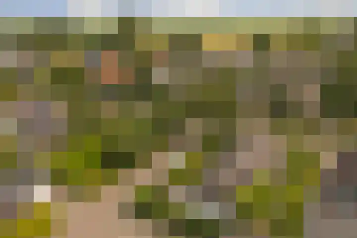 Finnepaed 6 Hijum thumbnail 39