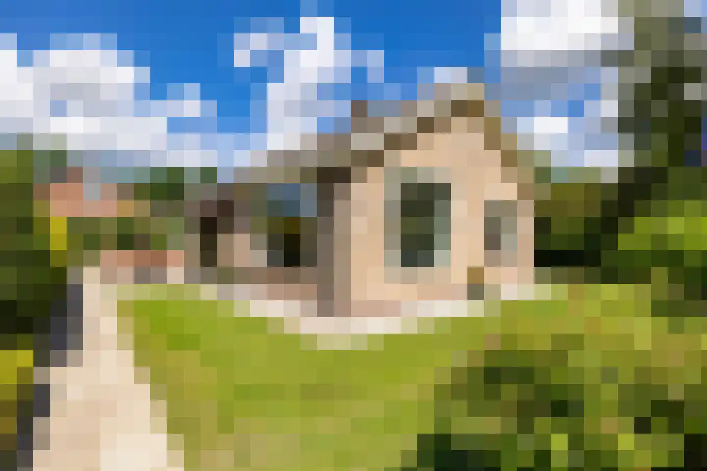 Finnepaed 6 Hijum thumbnail 4