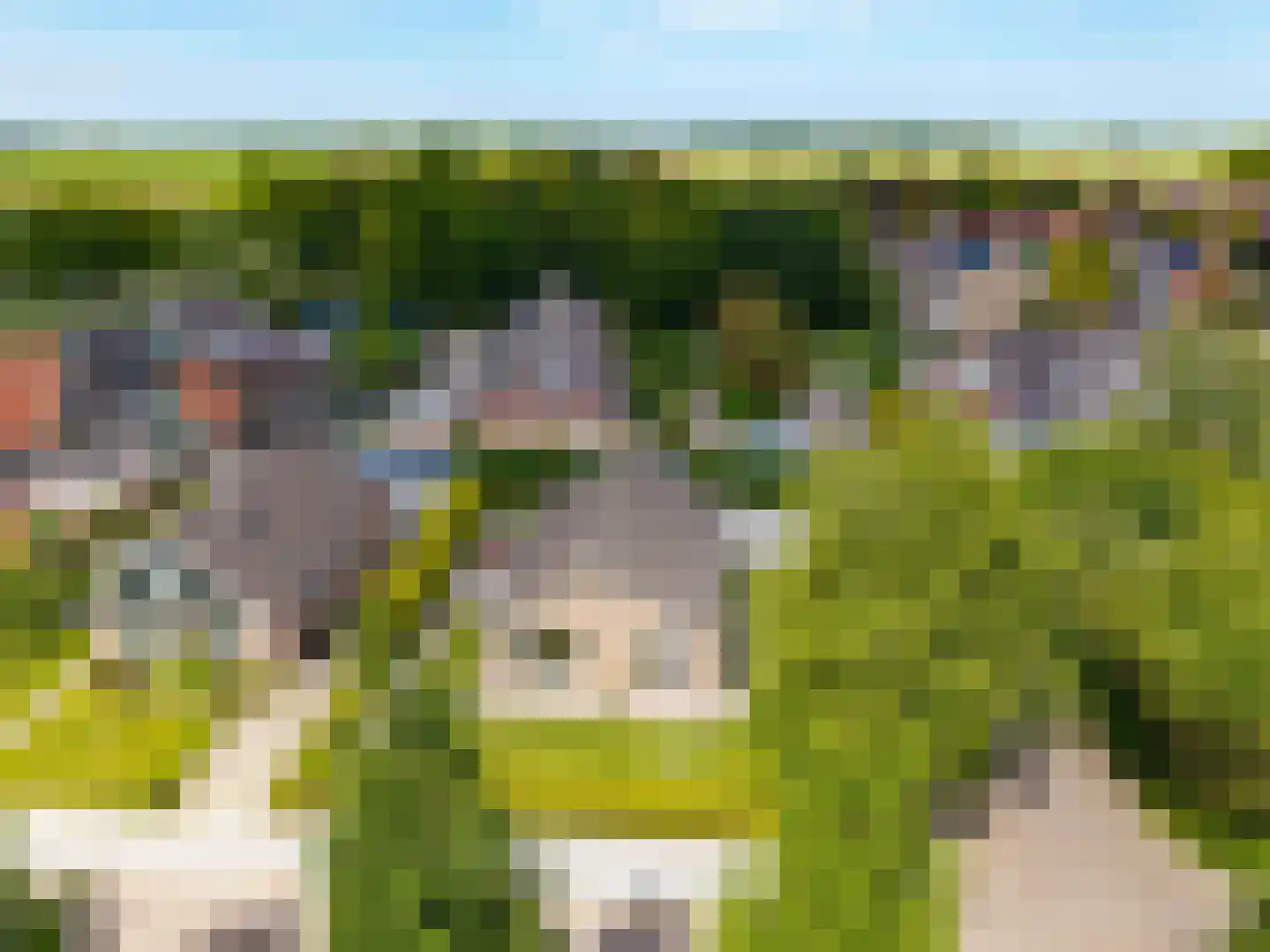 Finnepaed 6 Hijum thumbnail 46