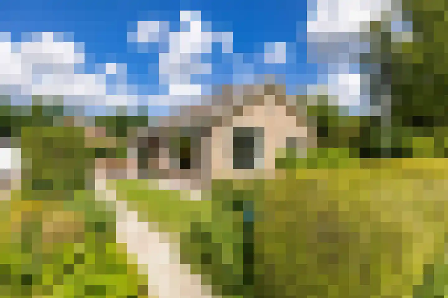 Finnepaed 6 Hijum thumbnail 7