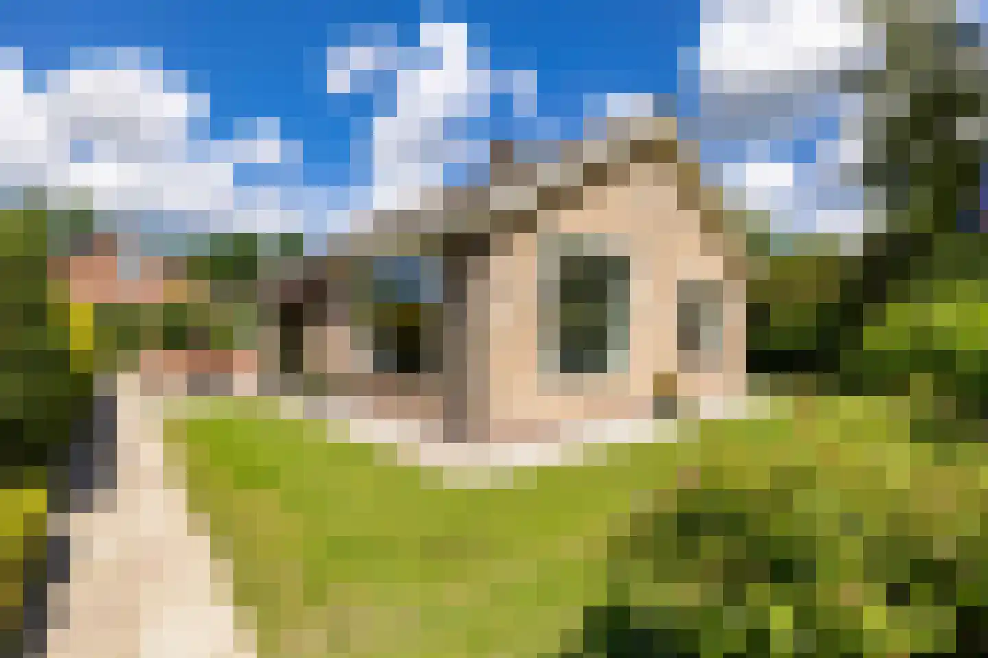 Finnepaed 6 Hijum thumbnail 7